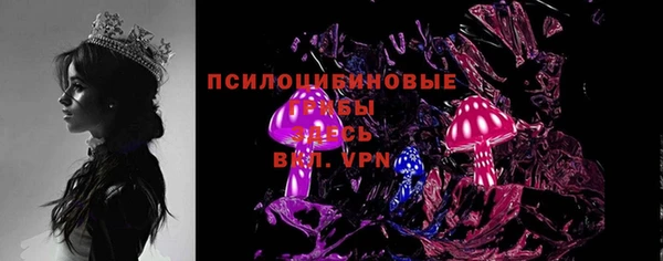 крисы Богородицк