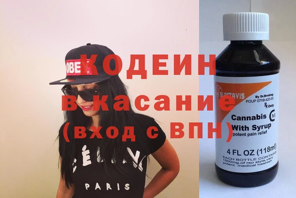 дживик Бородино