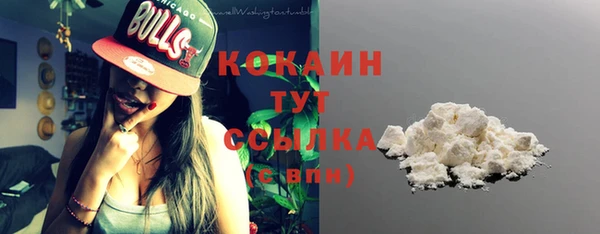 дживик Бородино
