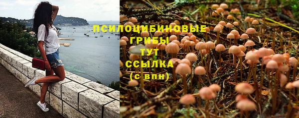 ПСИЛОЦИБИНОВЫЕ ГРИБЫ Бронницы
