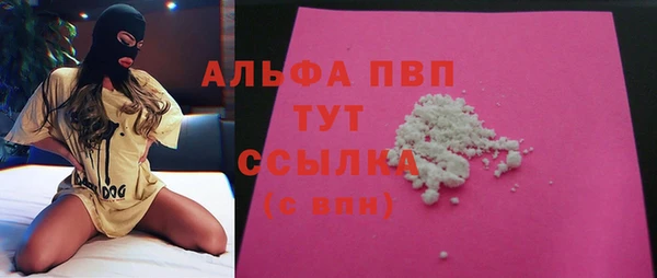 дживик Бородино
