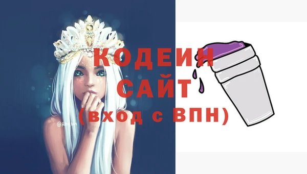 крисы Богородицк