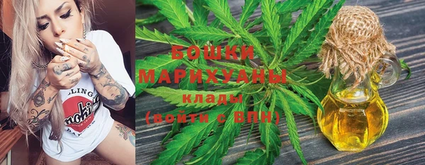 дживик Бородино