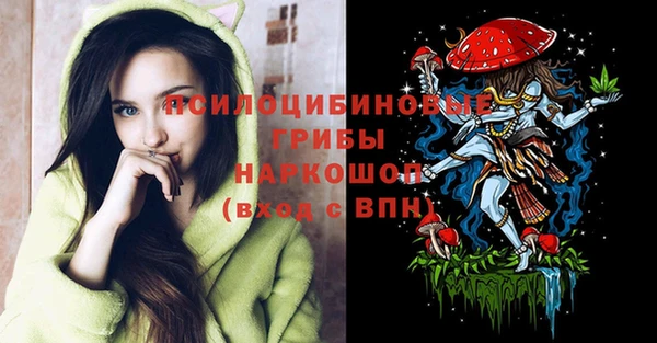 ПСИЛОЦИБИНОВЫЕ ГРИБЫ Бронницы