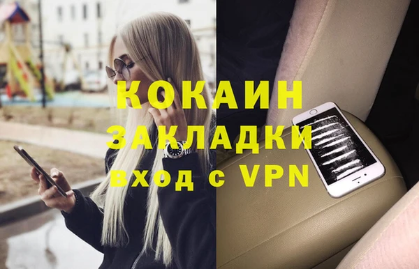 дживик Бородино
