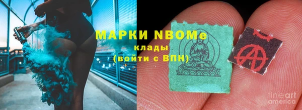 дживик Бородино