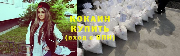 дживик Бородино